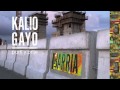 Kalio Gayo - Barria