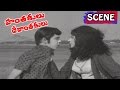 Raja Sulochana Chases And Kills Krishnam Raju Hanthakulu Devanthakulu Movie Scenes V9 Videos