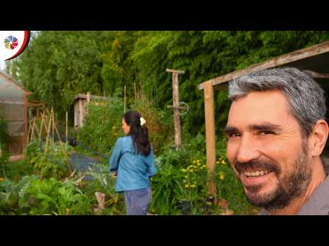 Mini Farm Tour: Summer's End, Building & Planning