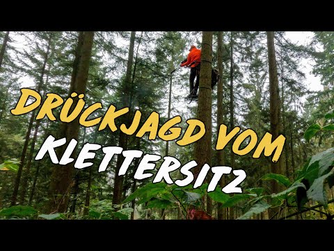 Drückjagd vom Klettersitz