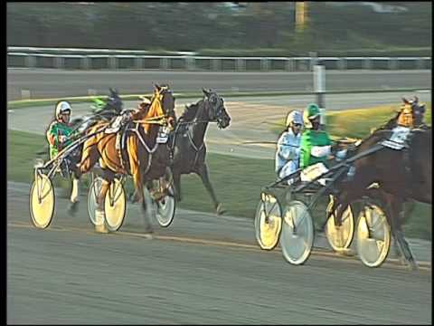 Trotto 28/10/2016 - 5ª corsa