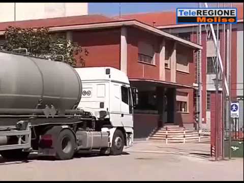 Zuccherificio, torna a farsi vedere Diego Volpe Pasini - 08/09/2015