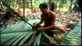 Documentário mostra a vida de Sydney Possuelo e o processo de civilização da Amazônia