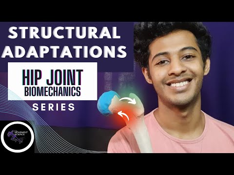 STRUCTURAL ADAPTATION -FEMORAL HEAD AND NECK(HIP JOINT COMPLEX BIOMECHANICS)Physiotherapy Tutorials