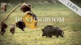 200KG Monster Keiler in Serbien - HUNTINGROOM Clips #12