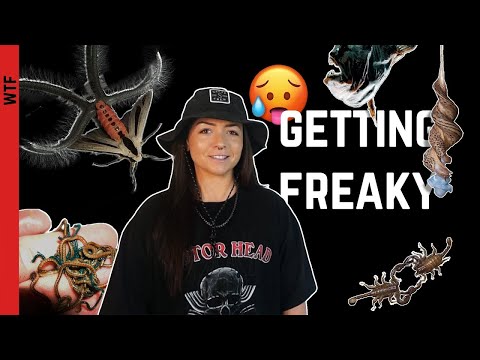 Zoologist Answers: WTF is THAT?? (Freaks of Nature)