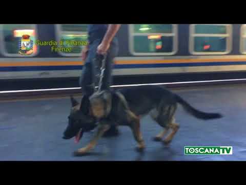 2018-08-21 FIRENZE - IN VALIGIA 11 KG MARIJUANA, ARRESTATA 24ENNE