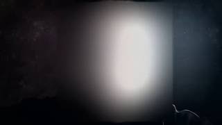 C LEST   Party All Night