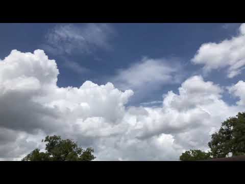 RAIN and a SICK CALF