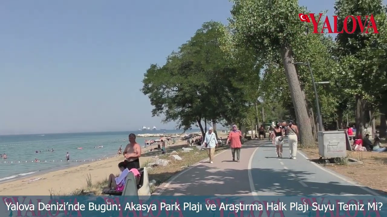 Yalova Denizi’nde Bugün: Akasya Park Plajı ve Araştırma Halk Plajı Suyu Temiz Mi?