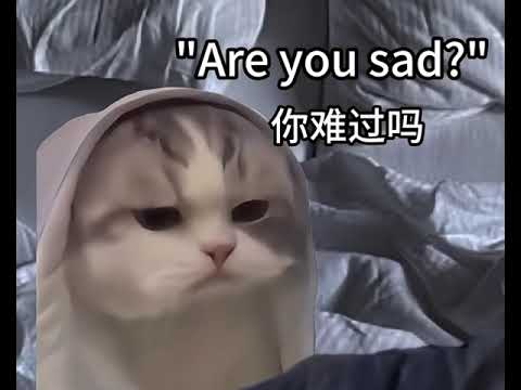 Worlds funniest video