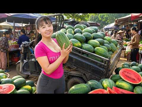Harvesting 1000+ Cucumbers & Watermelon - Use 3-Wheeled Truck Selling Them at the Market