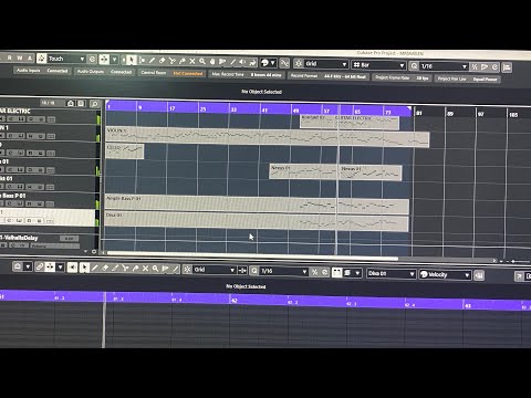 BEHIND THE SCENES RAI TIMOR LOROSAE.