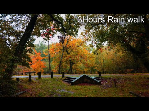 Walking in the Rainy Day [3Hours Compilation] 2020 in Bordeaux France 4K / Sounds for sleeping