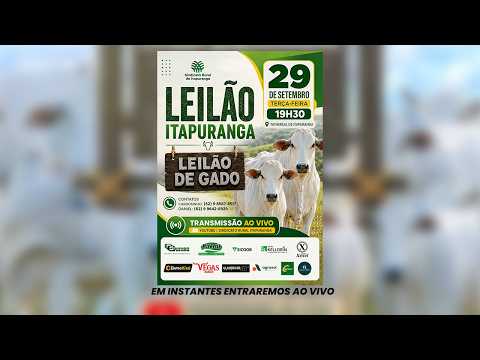 Leilão do Sindicato Rural de Itapuranga -29/09/2026 | Leilão ao Vivo - Leilão de Gado