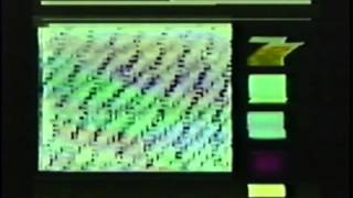 BETTER PSYCHICS "You Don't Have To Disappear"