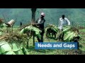 Uganda Supporting Smallholders Cope With Climate Change