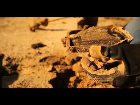 Predator Trapping Tips: When is it time to reset a trap - The Management Advantage