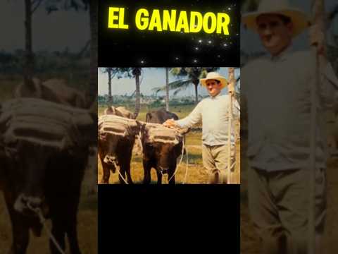 Exposicion ganadera en 1941, Colon, Matanzas, Cuba. Competencias de arado y jinetes.