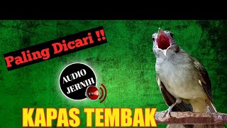 Download lagu •KAPAS TEMBAK GACOR RAPAT JEDA 2 MENIT DIJAMIN ANTI ZONKKKK mp3