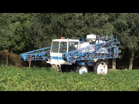 Landb. Taelman - Deerlijk - Allaeys