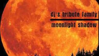Dj's Tribute Family - Moonlight Shadow (Lori B. Radio Edit Remix)