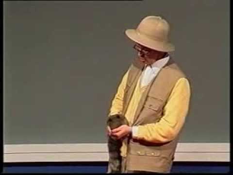 Martin Sierp als Bernhard Grzimek - DER DA(X)CHS-EXPERTE!!