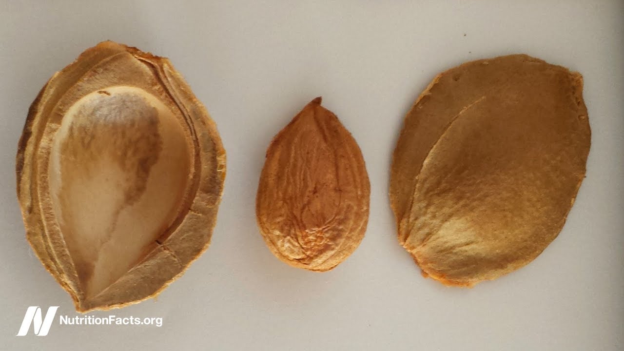 Do Apricot Seeds Work as an Alternative Cancer Cure? - YouTube