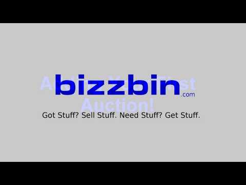 Listing  Your First Auction! - bizzbin.com