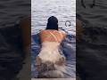 Mrunal Thakur Hot Video Short Mrunalthakur