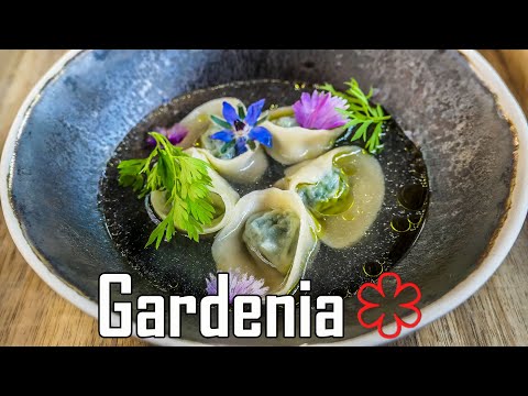 Pranzo al Ristorante GARDENIA - Una Stella Michelin ⭐