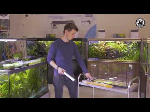 Watch Video on YouTube