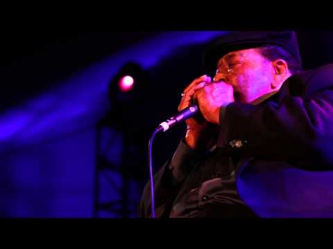 Thumbnail for Johnny Winter "Got My Mojo Workin'" with James Cotton by James Cotton