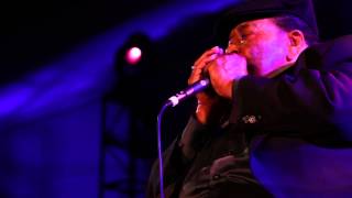 Johnny Winter &quot;Got My Mojo Workin&#39;&quot; with James Cotton