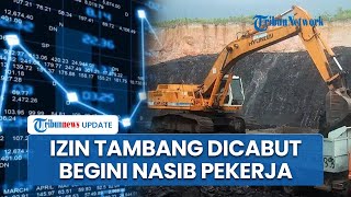 Download lagu Izin Tambang Agincourt Dicabut Prabowo Buntut Banjir Sumatera, Saham United Tractors & Astra Anjlok mp3