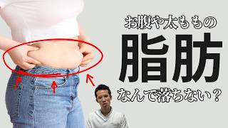頑張っても脂肪が落ちない本当の理由【ダイエット】