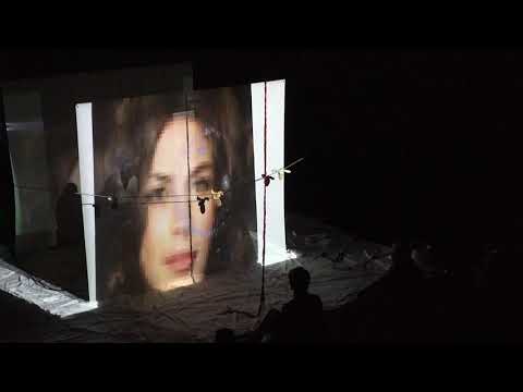 SOMA (at Incomputable Futures Conference)