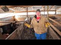 I Ve Solved Our Pig Barn Problems Designing For Happy Pigs