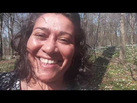 JETTE BLOK - Anemoner, Bauhaus & Frygt