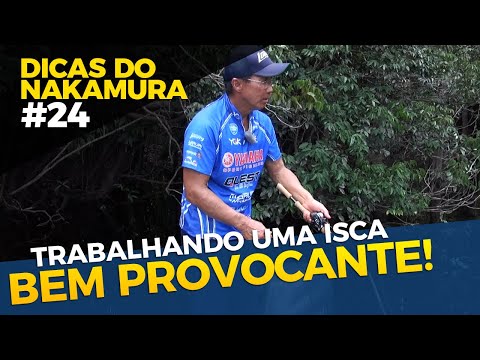 Trabalhando uma isca BEM PROVOCANTE [DICAS DO NAKAMURA #24]