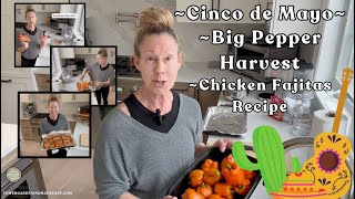 Cinco de Mayo Pepper Harvest & Fajitas | Tower to Table Recipe 🌶️ #towergarden #fajitas #peppers