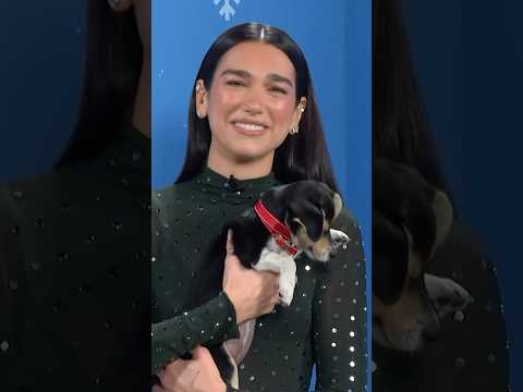Dua as she says and help these @animalleague puppies find a home for the holidays! #dualipa #short