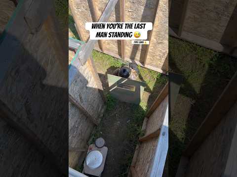 Just a shield and a dream 🤣 #airsoft #foryou #shorts #riotshield #defence #lastman #alone