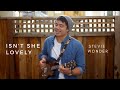 Isn T She Lovely Stevie Wonder Ukulele Cover