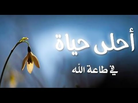  فَٱسۡتَغۡفِرُوهُ ثُمَّ تُوبُوٓاْ إِلَيۡهِۚ خطبة الجمعة 15 1 2016 لفضيلة الشيخ مصطفى العدوي 