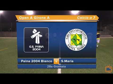 Sintesi Paina 2004 Bianco - S.Maria