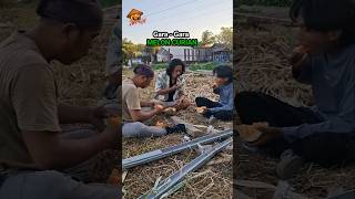 Download lagu gara gara melon curian trailer mp3