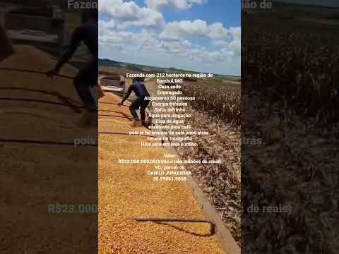 Excepcional oportunidade na região de Bambui MG