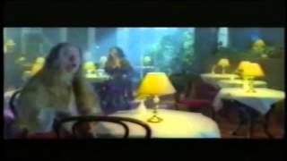 Kelly Family   - Come back to me .