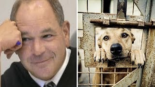 Judge Fed Up With Animal Abusers, Decides To Give Them Taste Of Their Own Medicine